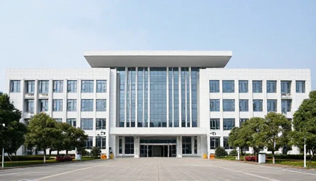 技术外包在业务流程优化中的实际应用